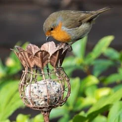 Poppy Seed Head Fat Snax Feeder - Aged Zinc -GardenGlamour pr2000041715 card3 lg