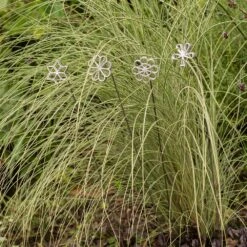 Plant/bulb Marking Stake - Shamrock -GardenGlamour pr2000041716 card5 lg