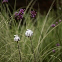 Perennial Plant/bulb Marking Stake Poppy Seed Head 13 Perennial Plant/bulb Marking Stake Poppy Seed Head -GardenGlamour pr2000041720 card5 lg