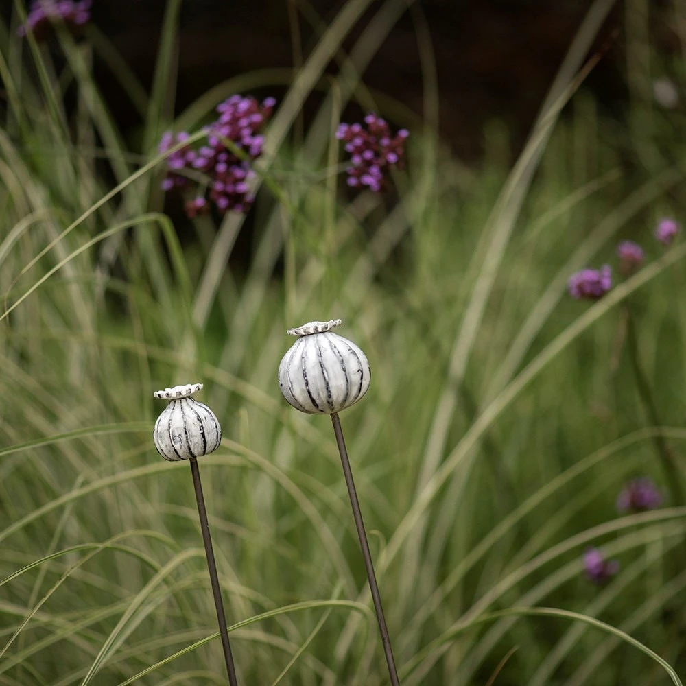 Perennial Plant/bulb Marking Stake Poppy Seed Head 7 Perennial Plant/bulb Marking Stake Poppy Seed Head - Image 5