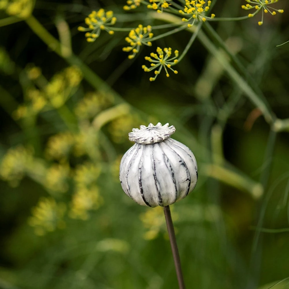 Perennial Plant/bulb Marking Stake Poppy Seed Head 8 Perennial Plant/bulb Marking Stake Poppy Seed Head - Image 6