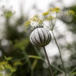 Perennial Plant/bulb Marking Stake Poppy Seed Head 15 Perennial Plant/bulb Marking Stake Poppy Seed Head -GardenGlamour pr2000041720 card7 lg