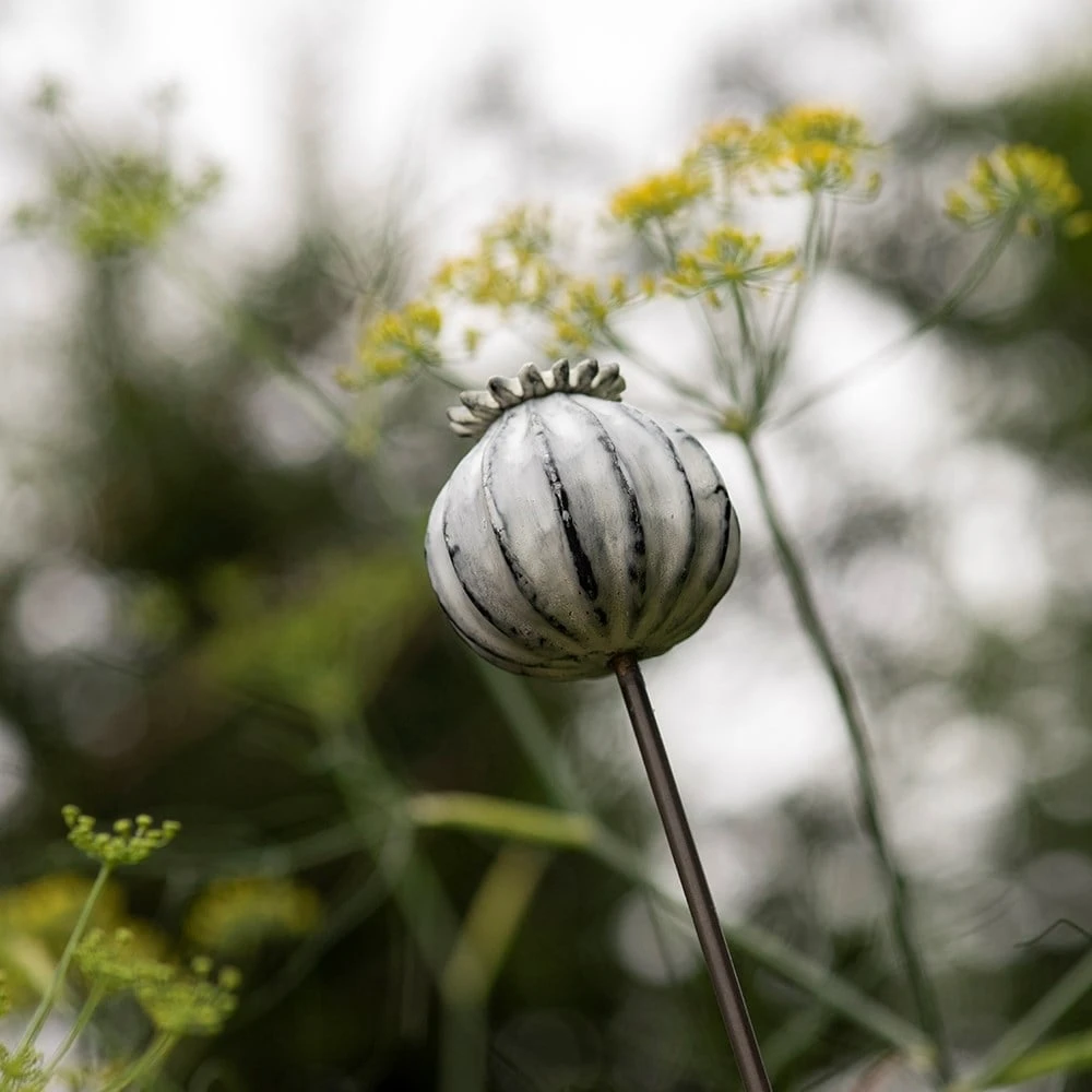 Perennial Plant/bulb Marking Stake Poppy Seed Head 9 Perennial Plant/bulb Marking Stake Poppy Seed Head - Image 7