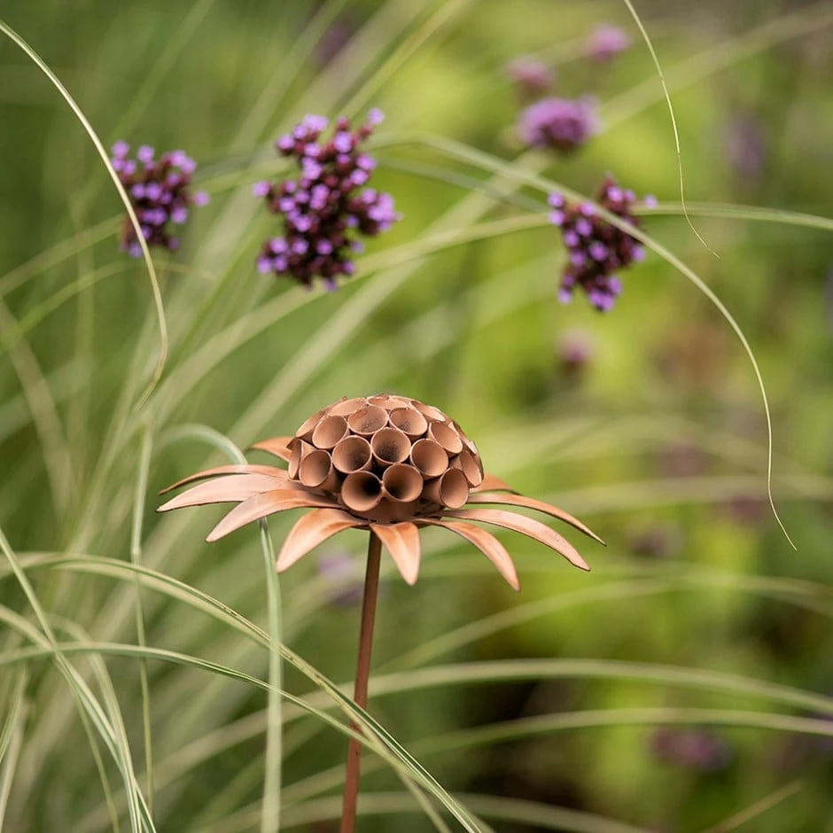 Scabiosa 'deadhead' Stake - Rust 3 Scabiosa 'deadhead' Stake - Rust