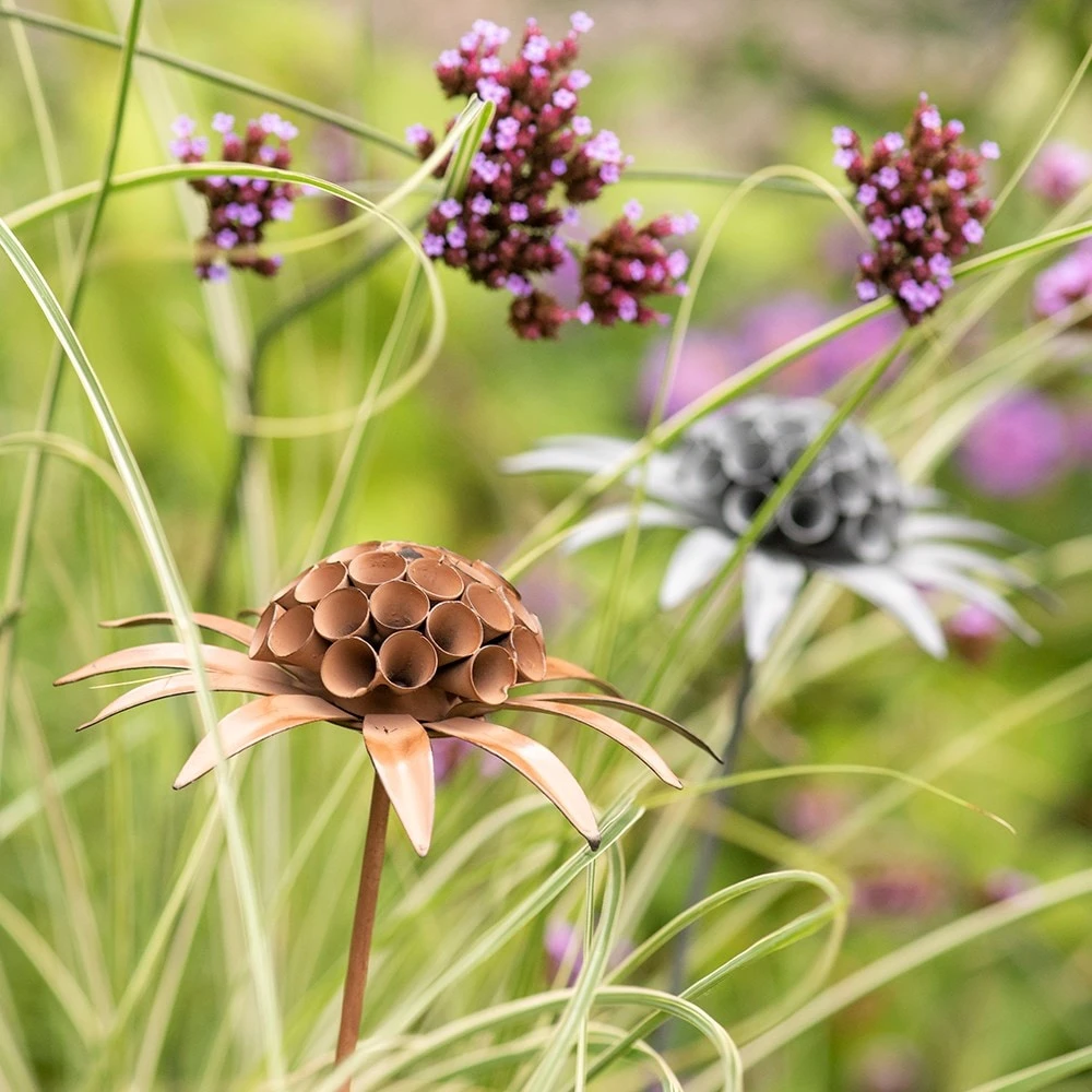 Scabiosa 'deadhead' Stake - Rust 4 Scabiosa 'deadhead' Stake - Rust - Image 2