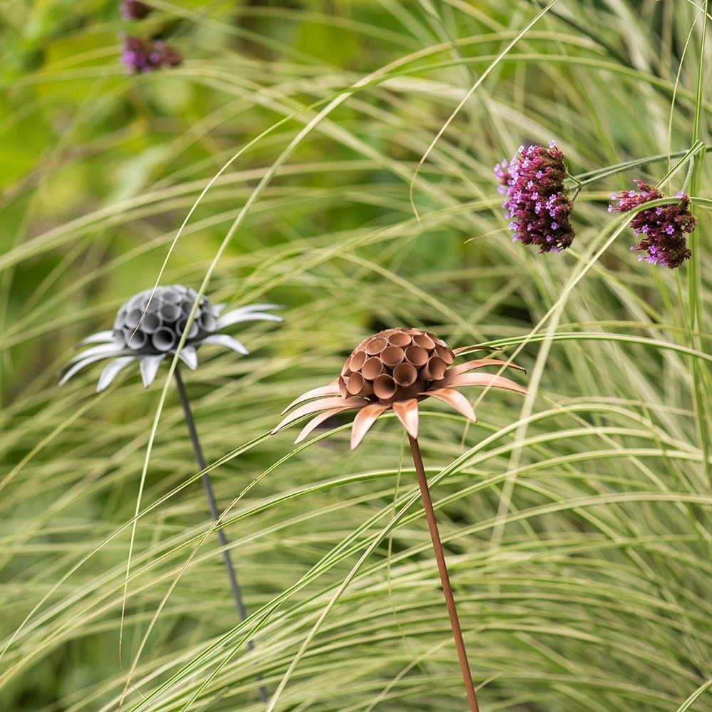 Scabiosa 'deadhead' Stake - Rust 5 Scabiosa 'deadhead' Stake - Rust - Image 3
