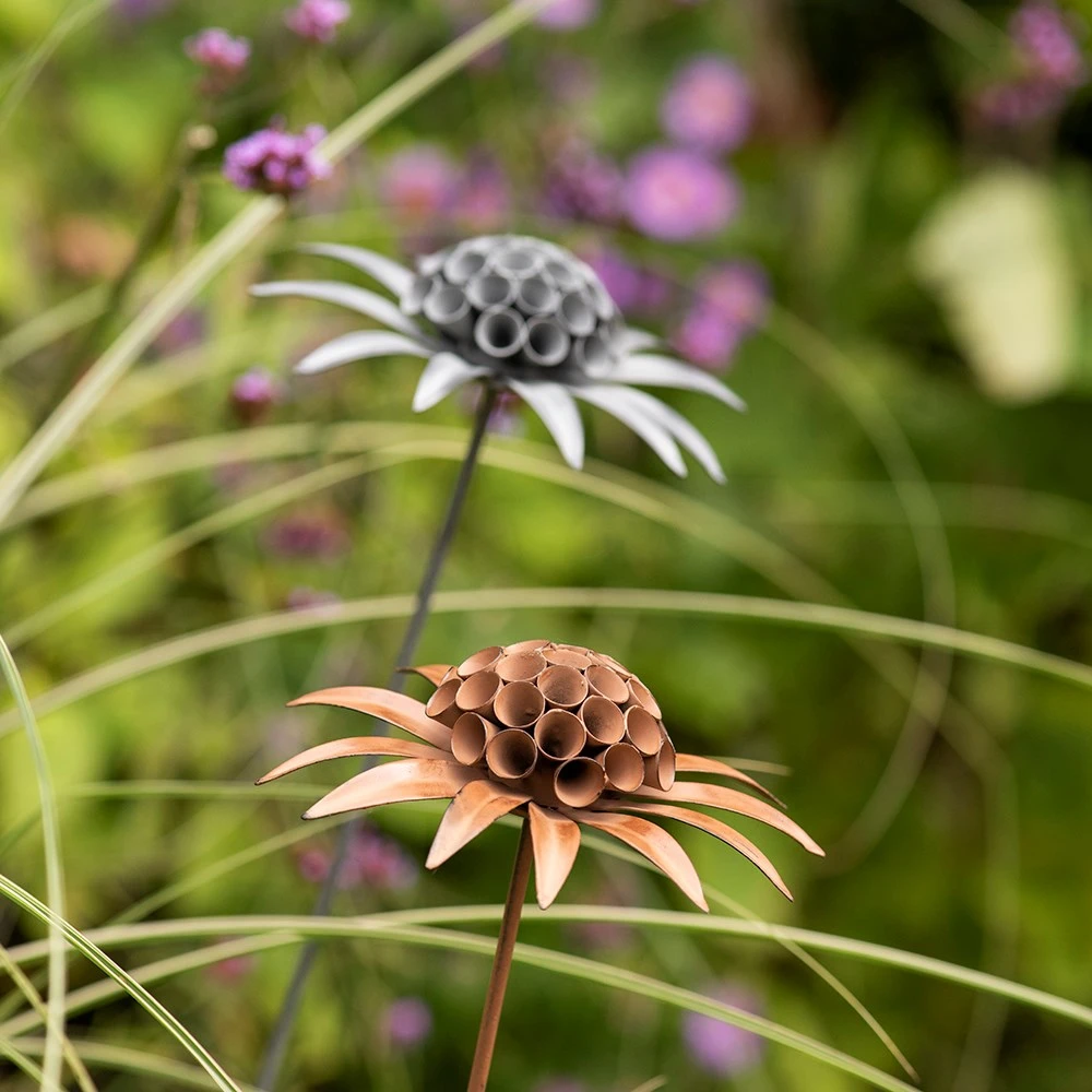 Scabiosa 'deadhead' Stake - Rust 6 Scabiosa 'deadhead' Stake - Rust - Image 4
