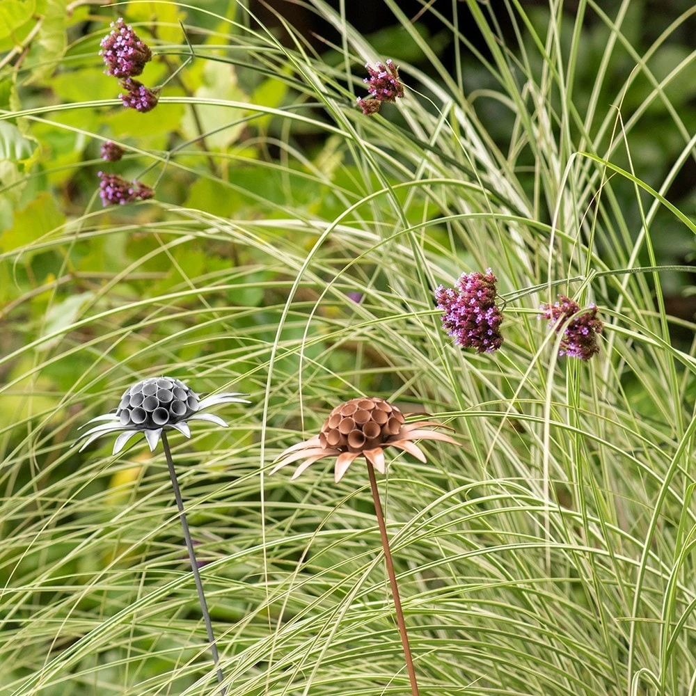 Scabiosa 'deadhead' Stake - Rust 7 Scabiosa 'deadhead' Stake - Rust - Image 5