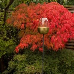 Tulip Stake Tealight Holder (adjustable Height) - Brushed Brass -GardenGlamour pr2000041729 card6 lg