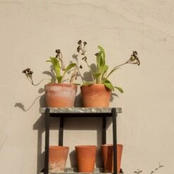 Wall Plant Display -GardenGlamour pr2000041734 card5 lg