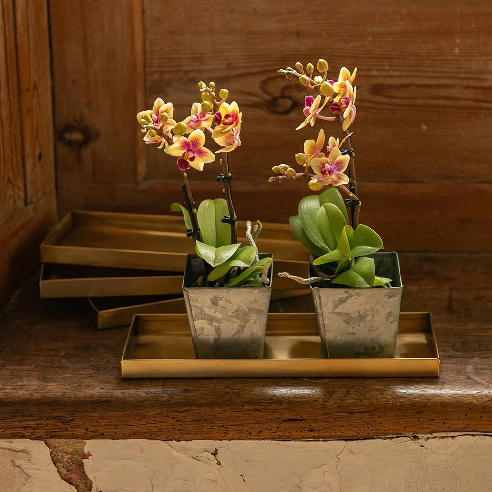 Brass Trays / Shelves - Set Of 4 4 Brass Trays / Shelves - Set Of 4 - Image 2