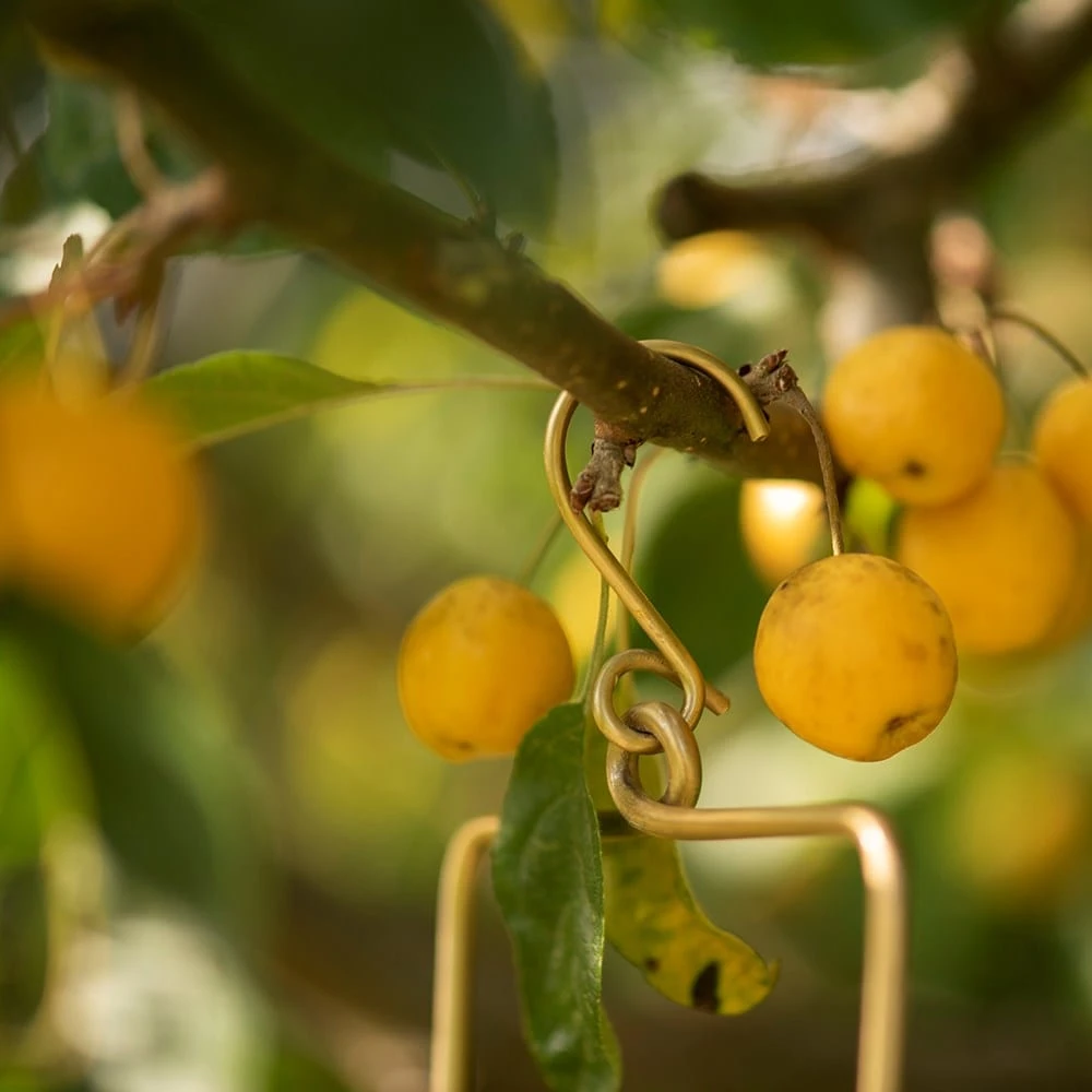 Hanging Tealight Lantern - Brass 7 Hanging Tealight Lantern - Brass - Image 5