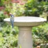 Ceramic Bird Bath On Pedestal -GardenGlamour pr2000042879
