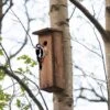 Woodpecker House -GardenGlamour pr2000042955