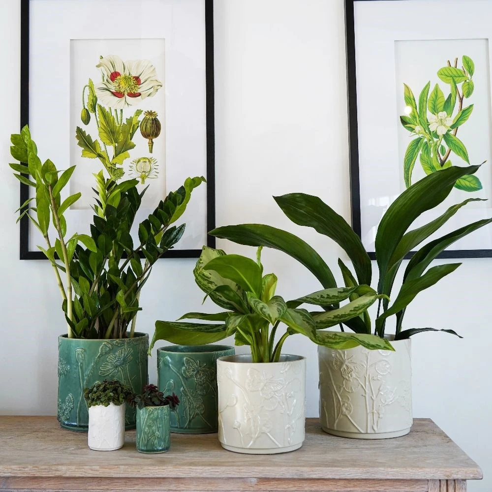 Stoneware Meadow Planter Ivory 4 Stoneware Meadow Planter Ivory - Image 2