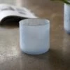 Frosted Glass Plant Pot - Light Blue -GardenGlamour pr2000043087