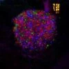 Fit And Forget Multicolour Multifunction LED String Lights -GardenGlamour pr2000043497