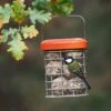 Premium Suet Feeder -GardenGlamour pr2000044042