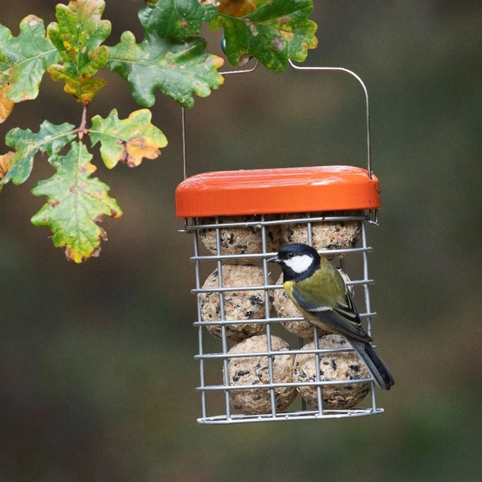 Premium Suet Feeder 3 Premium Suet Feeder