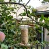 Aura Small Bird Feeder -GardenGlamour pr2000044335