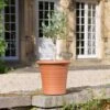Terracotta Ribbed Flowerpot Small -GardenGlamour pr2000044719