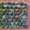 Living Wall Vertical Planting Set - 2.3m2 -GardenGlamour pr2000044785