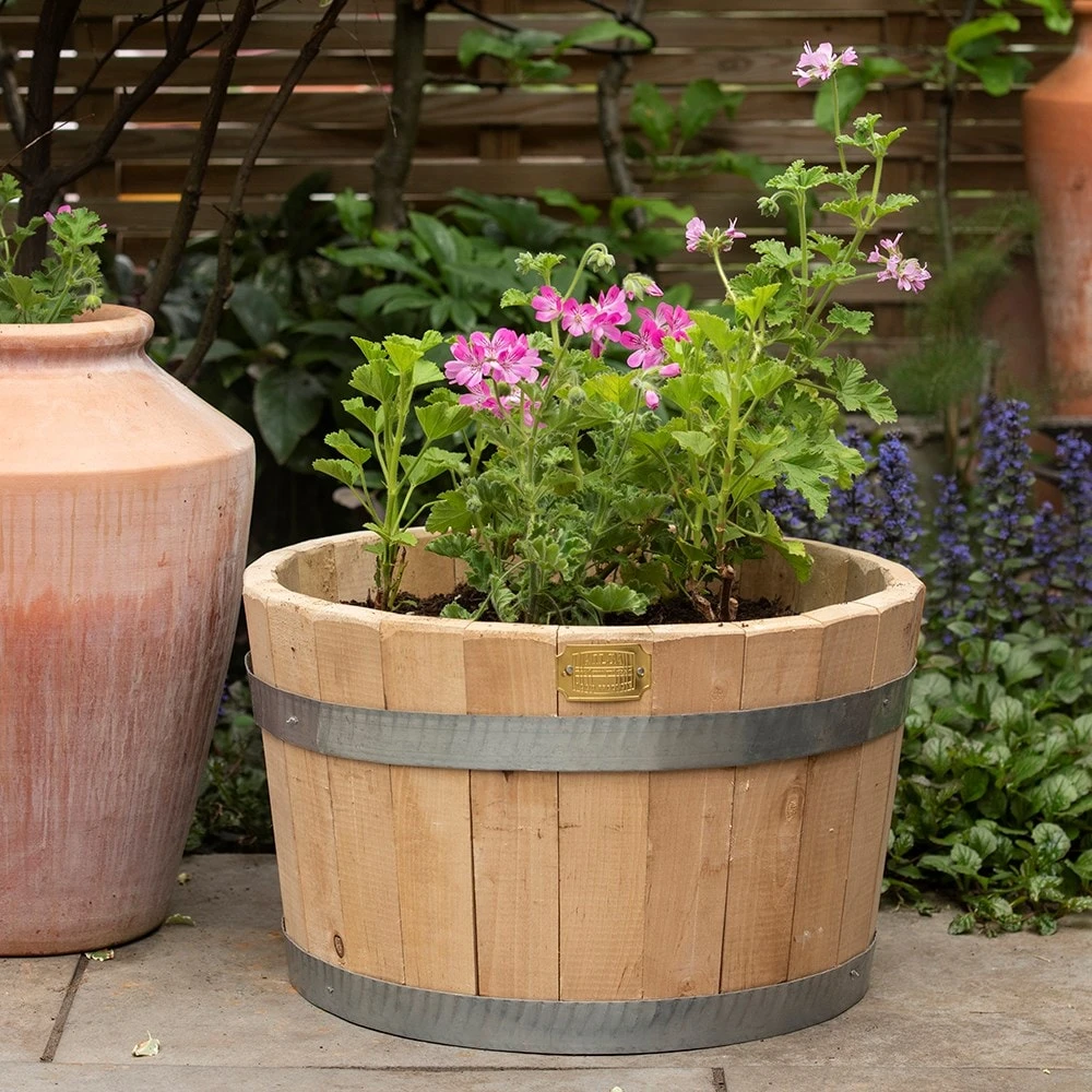 Hardwood Barrel Planter 4 Hardwood Barrel Planter - Image 2