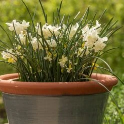 Grey Kitchen Planter -GardenGlamour pr2000044988 card3 lg