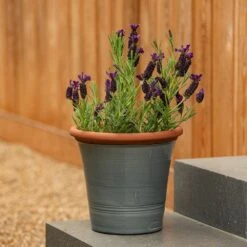 Grey Kitchen Planter -GardenGlamour pr2000044988 card7 lg