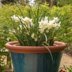 Dark Teal Kitchen Planter -GardenGlamour pr2000044992 card3 lg