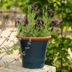 Dark Teal Kitchen Planter -GardenGlamour pr2000044992 card6 lg