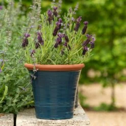 Dark Teal Kitchen Planter -GardenGlamour pr2000044992 card7 lg