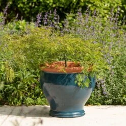 Dark Teal Bellied Planter -GardenGlamour pr2000045004 card5 lg