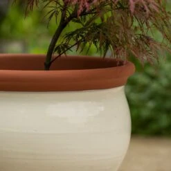 Ivory Bellied Planter -GardenGlamour pr2000045026 card3 lg