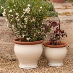 Ivory Bellied Planter -GardenGlamour pr2000045026 card7 lg