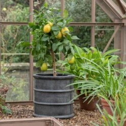 Greystoke Barrel Planter -GardenGlamour pr2000046297 card7 lg