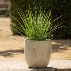 Glazed Ceramic Pot - White 13 Glazed Ceramic Pot - White -GardenGlamour pr2000046300 card3 lg