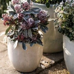 Glazed Ceramic Pot - White 15 Glazed Ceramic Pot - White -GardenGlamour pr2000046300 card5 lg