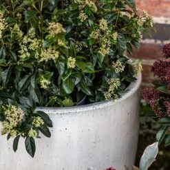 Glazed Ceramic Pot - White 18 Glazed Ceramic Pot - White -GardenGlamour pr2000046300 card8 lg