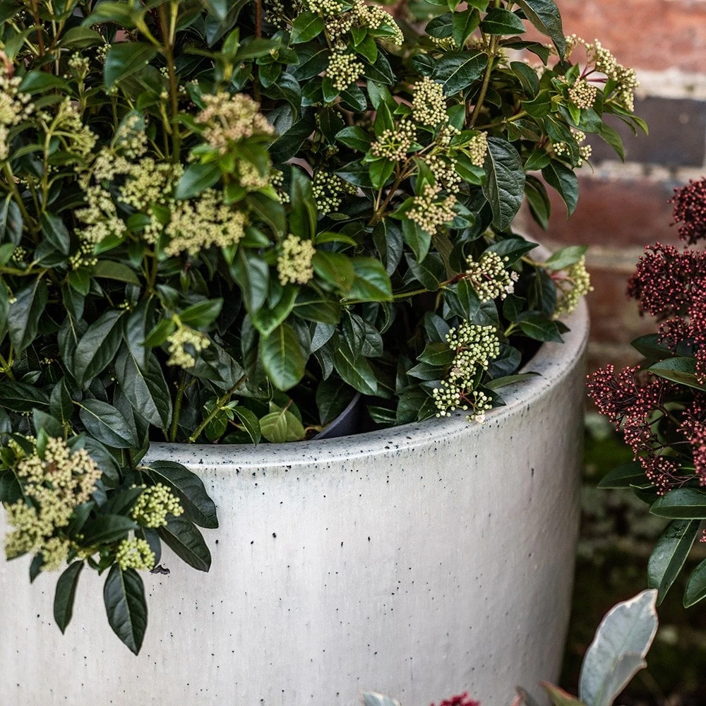 Glazed Ceramic Pot - White 10 Glazed Ceramic Pot - White - Image 8