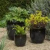 Glazed Ceramic Pot - Misty Black 2 Glazed Ceramic Pot - Misty Black -GardenGlamour pr2000046301