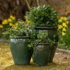 Glazed Terracotta Tulip Pot - Misty Green -GardenGlamour pr2000046304 card3 lg