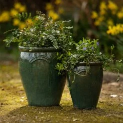 Glazed Terracotta Tulip Pot - Misty Green -GardenGlamour pr2000046304 card4 lg