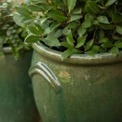 Glazed Terracotta Tulip Pot - Misty Green -GardenGlamour pr2000046304 card5 lg