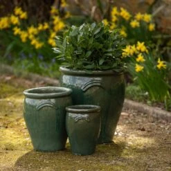Glazed Terracotta Tulip Pot - Misty Green -GardenGlamour pr2000046304 card6 lg