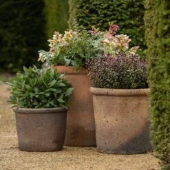 Terracotta Pot - Sandblasted -GardenGlamour pr2000046311 card3 lg
