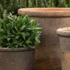 Terracotta Pot - Sandblasted -GardenGlamour pr2000046311 card5 lg