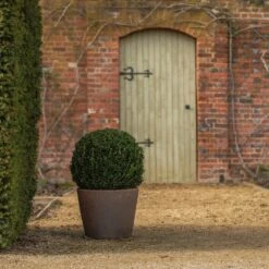 Tapered Terracotta Pot - Sandblasted 14 Tapered Terracotta Pot - Sandblasted -GardenGlamour pr2000046314 card6 lg