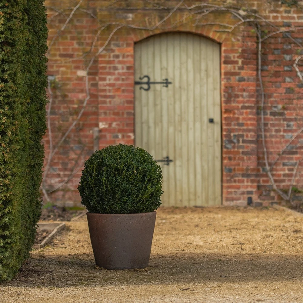 Tapered Terracotta Pot - Sandblasted 8 Tapered Terracotta Pot - Sandblasted - Image 6