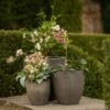 Cement Pot - Waxed 1 Cement Pot - Waxed -GardenGlamour pr2000046322